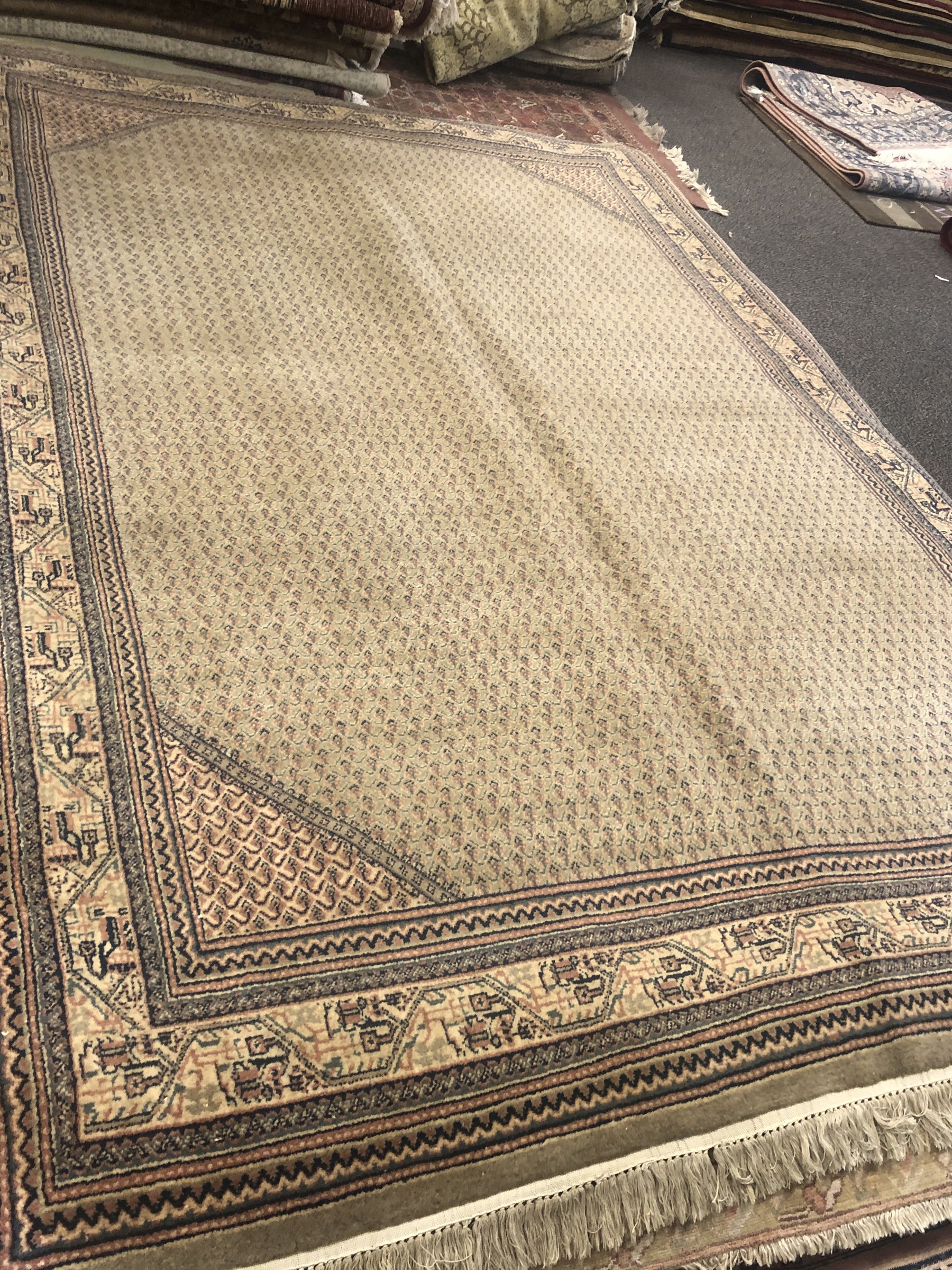 Ivory Solid Border Rug